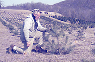 man looking at planted tree